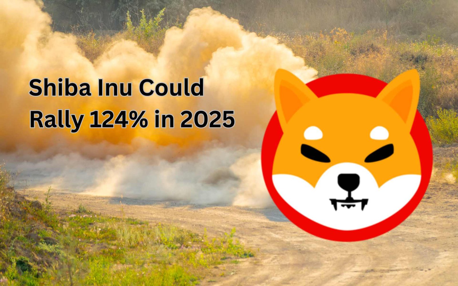 Shiba Inu Could Rally 124% in 2025